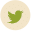 Tweet This