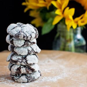 Chocolate Crinkle Cookies