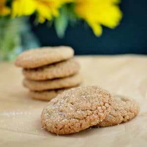 Ginger Spice Cookies