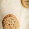 Ginger Spice Cookies