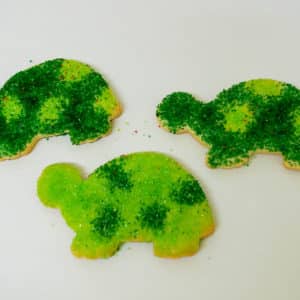 Turtle Sanding Sugar Cookies