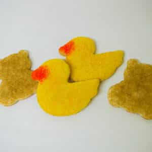 Baby Animals Sanding Sugar Cookies