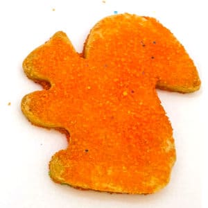 Sanding Sugar Squirrel Cookie
