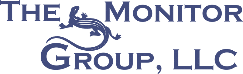 The Monitor Group, LLC