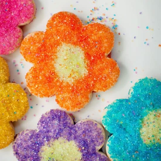 Multicolor Sunflower Sugar Cookies on a white background