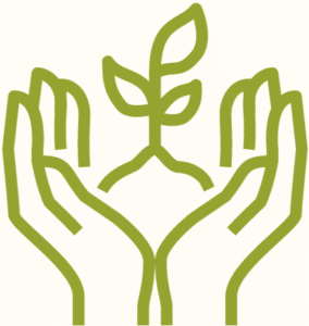 Two hands together, lifting up a sprouting plant
