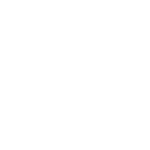 Spur Local - Critical Nonprofit - 26